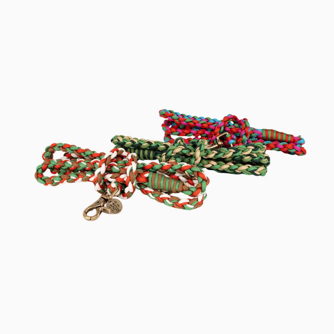 The Dogmas Classic Lead