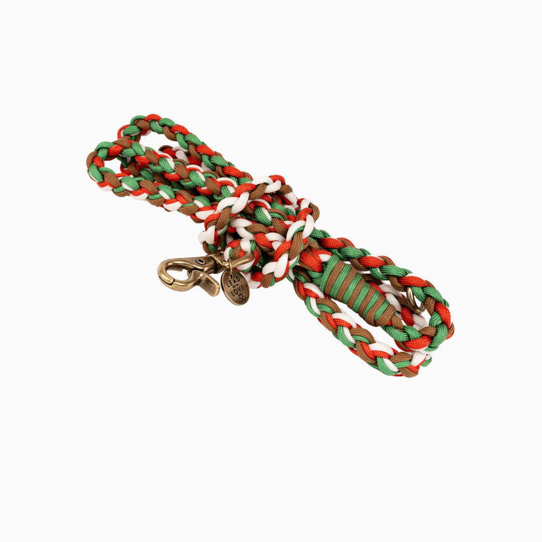 The Dogmas Classic Lead