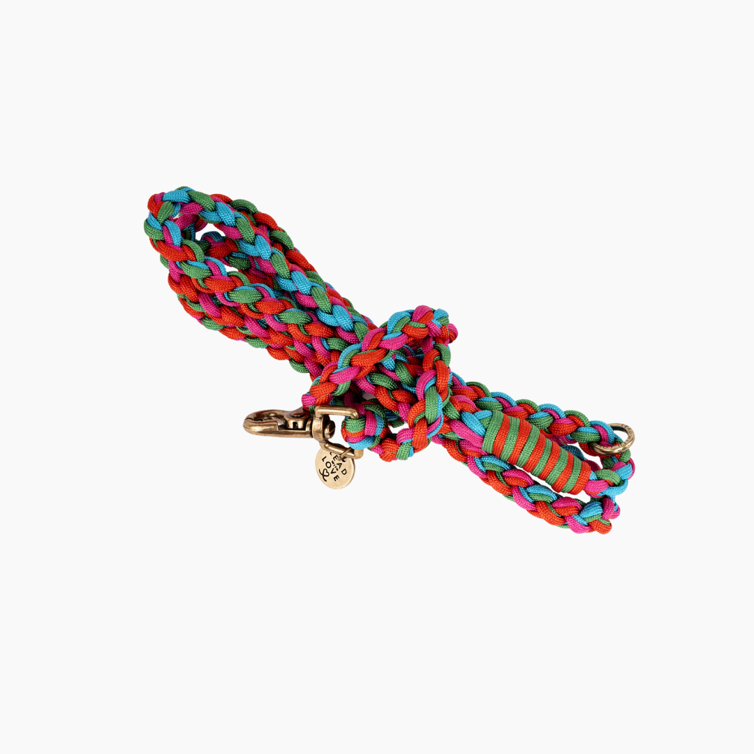 The Dogmas Classic Lead