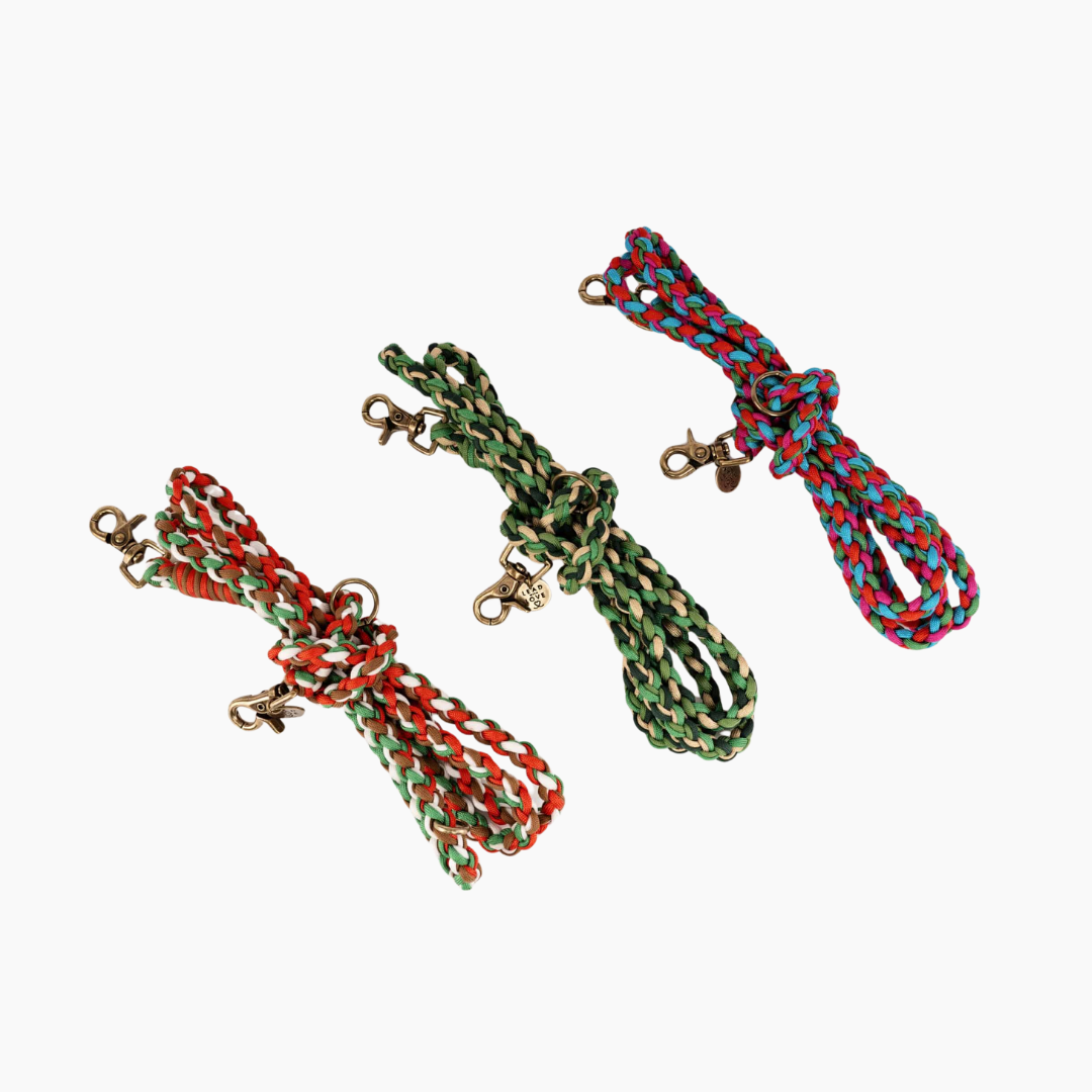 The Dogmas Hands-Free Lead