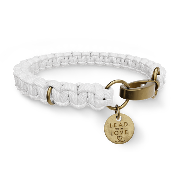 Custom Classic Collar