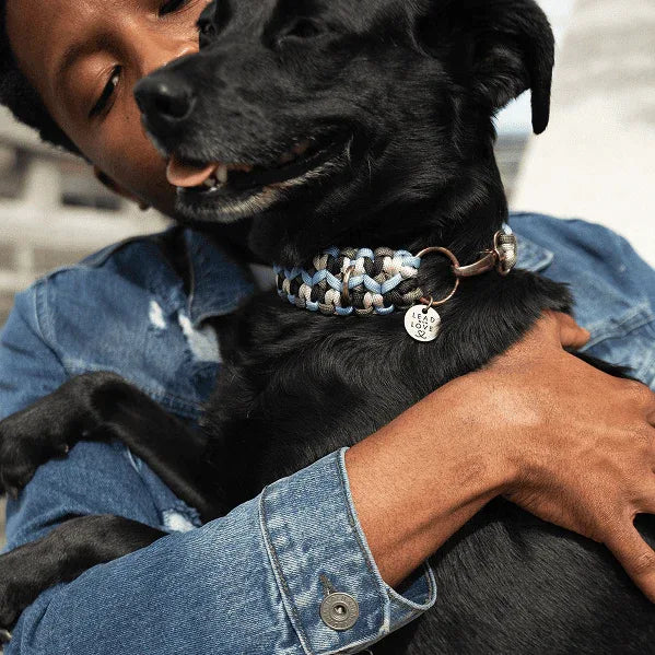 Custom Double Wide Collar