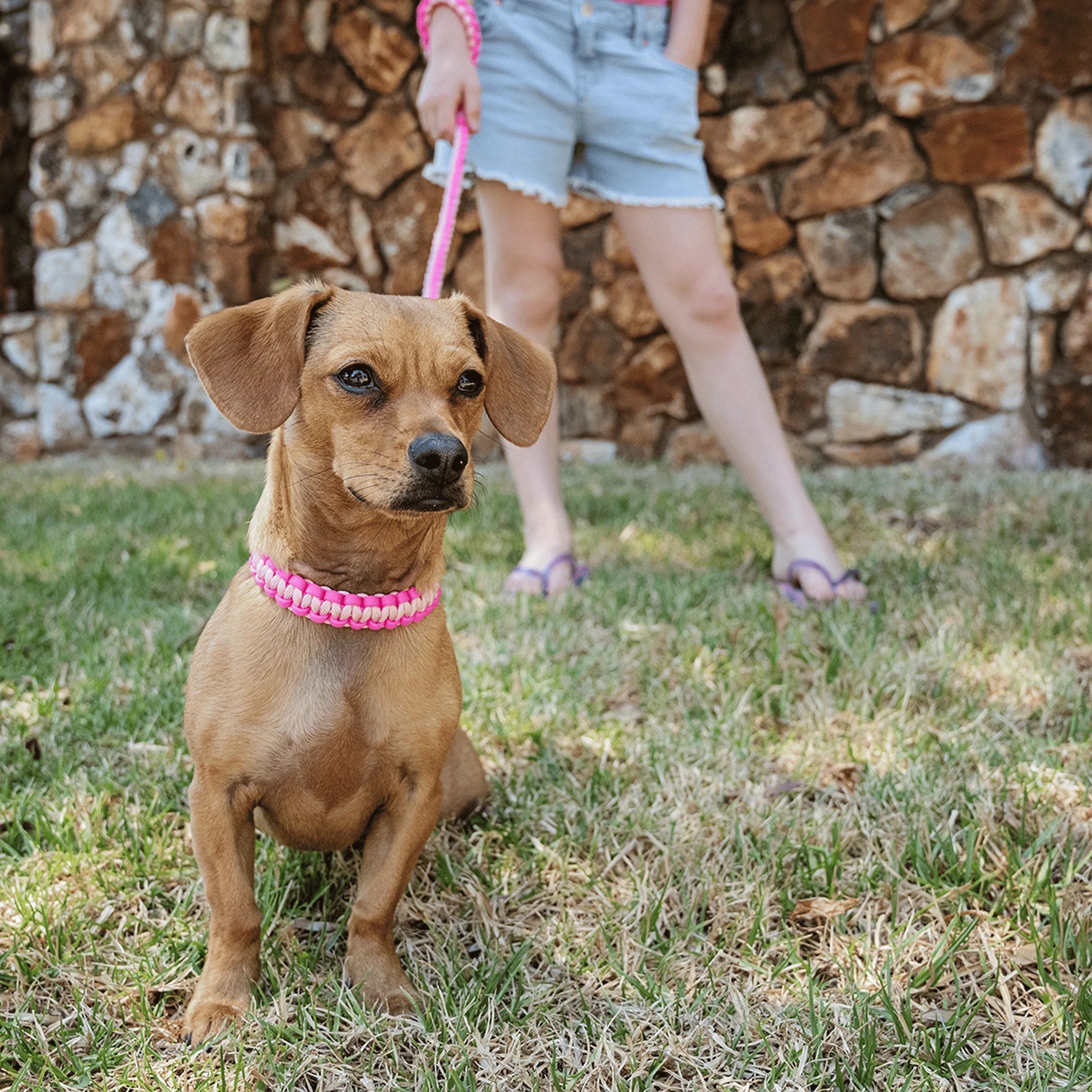 The Kiddies Mini Lead