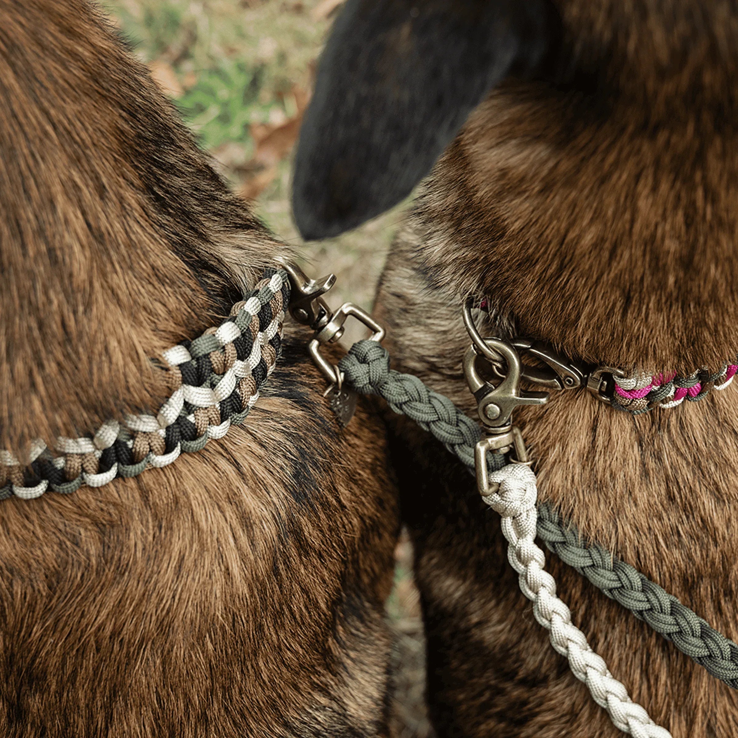 The Classic Lead Splitter