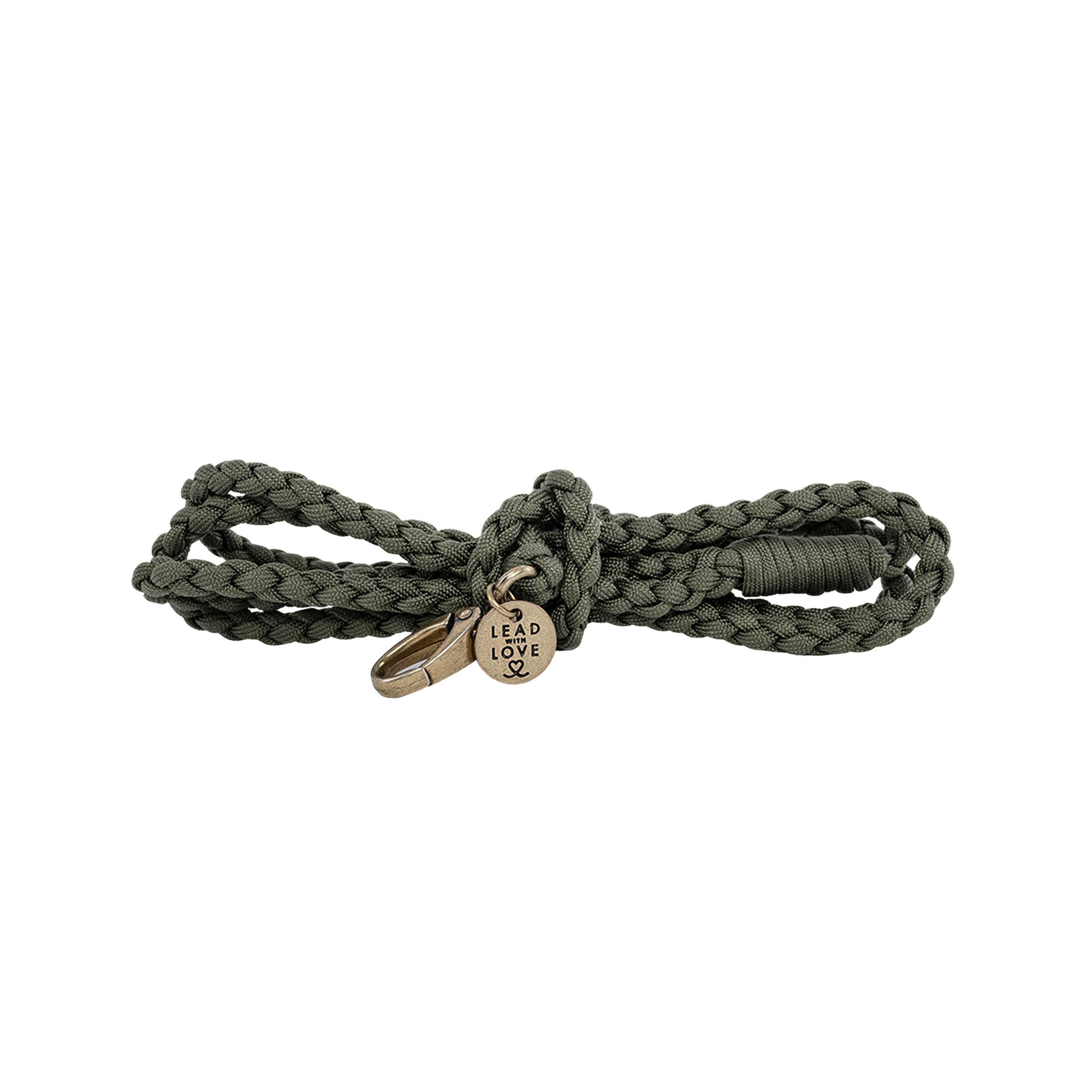 The Classic Mini Lead
