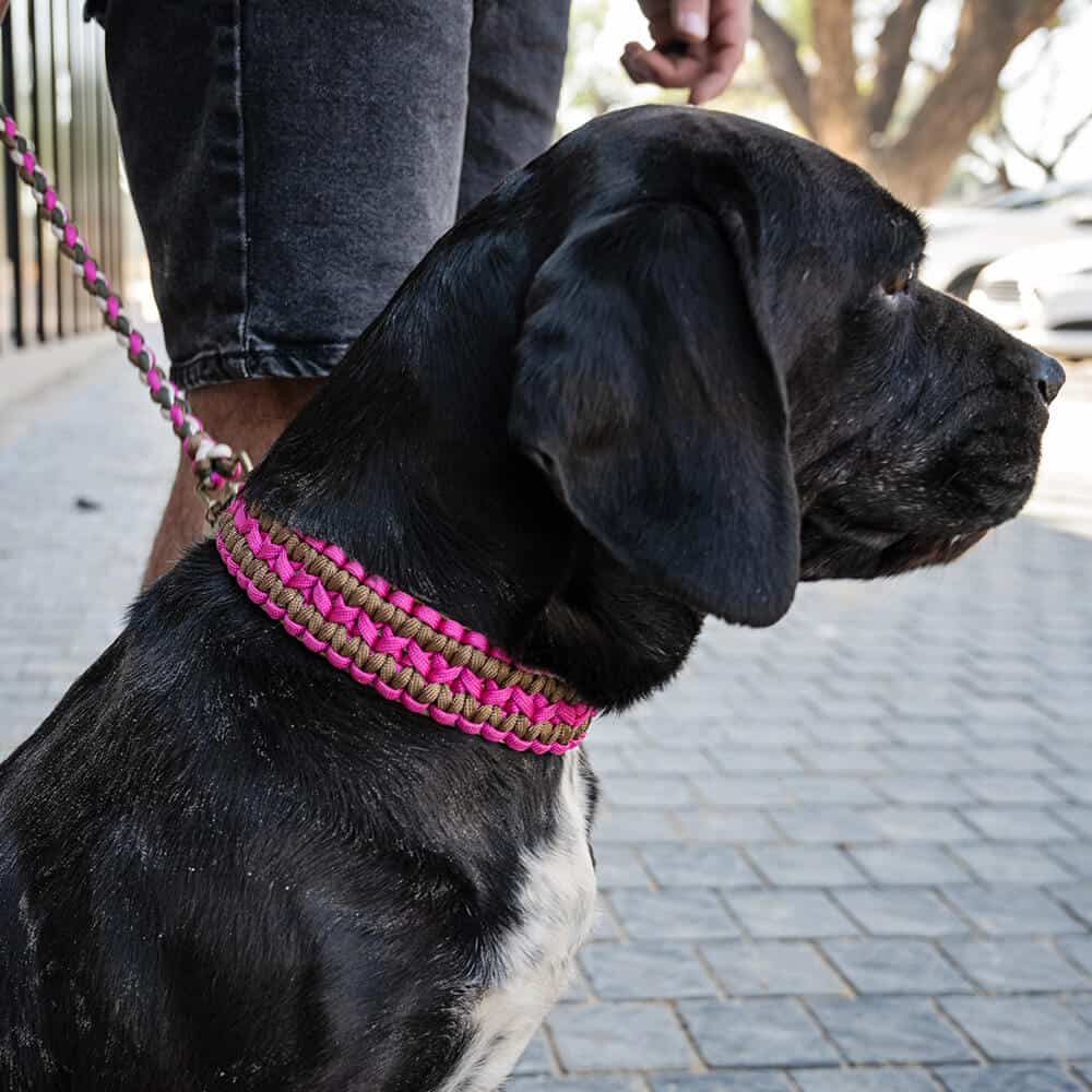 The Double Wide Collar