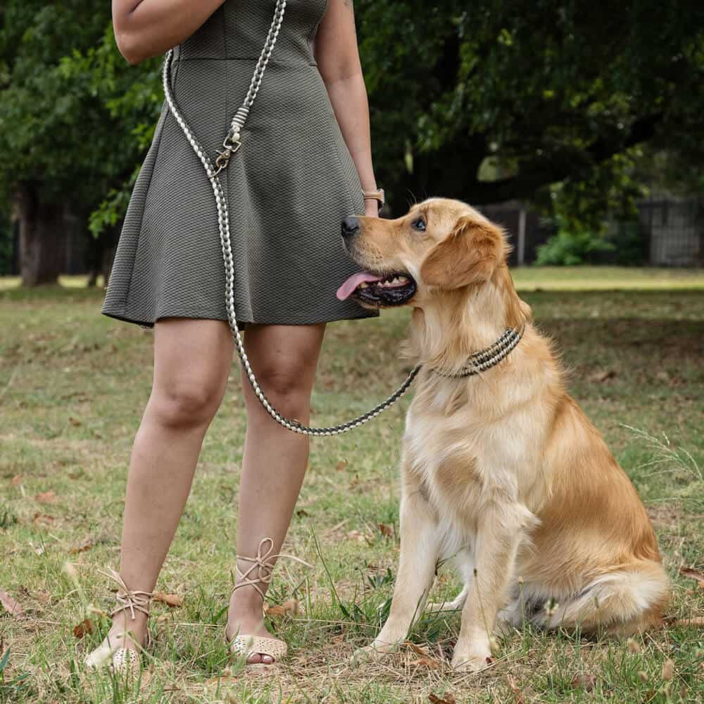 The Hands-Free Lead