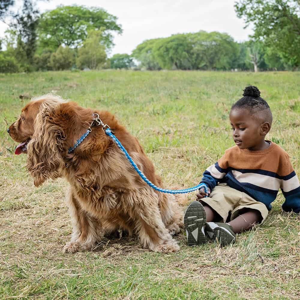 The Kiddies Lead