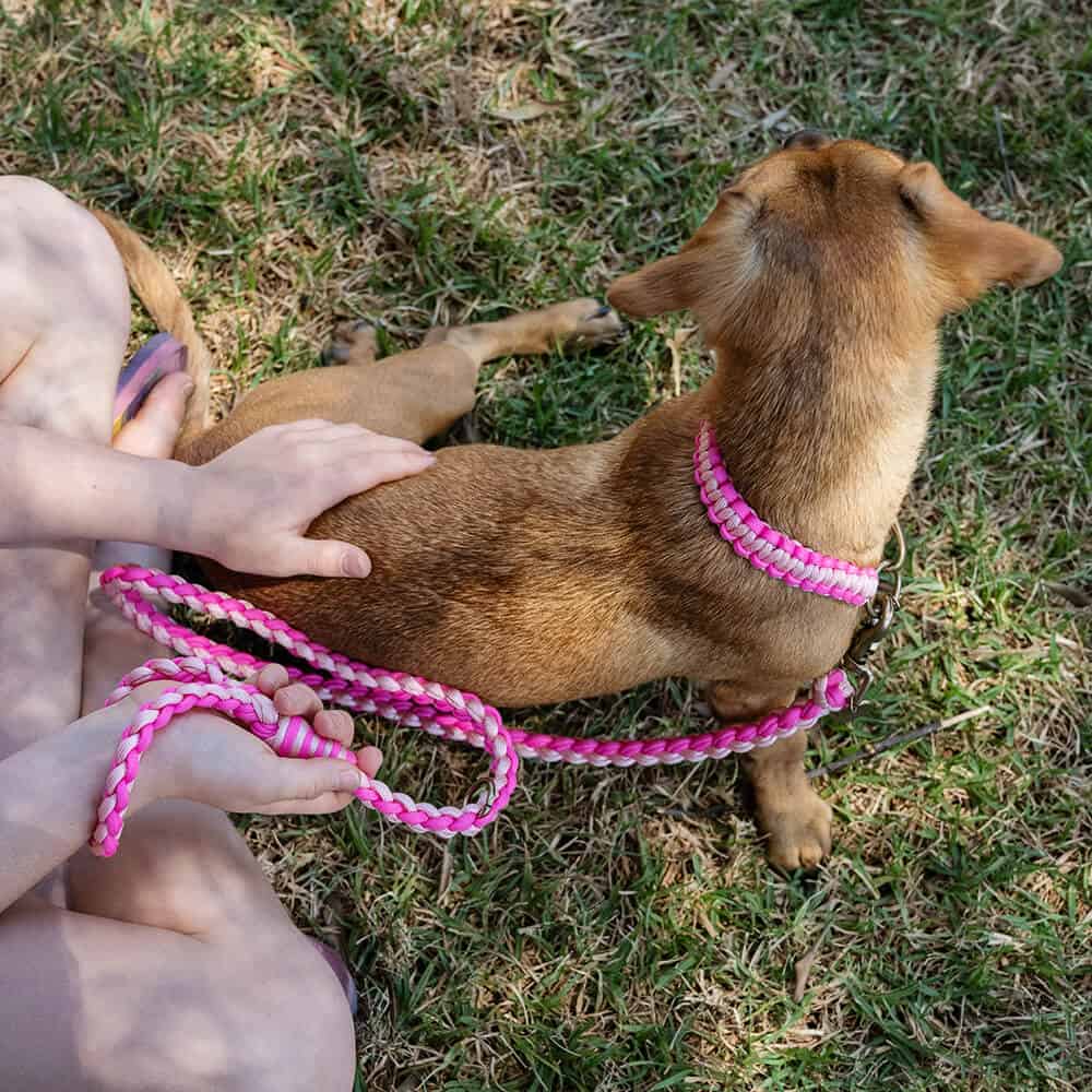 The Kiddies Collar