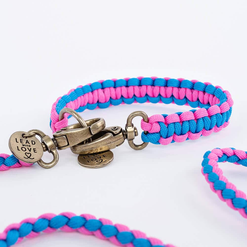 The Kiddies Collar
