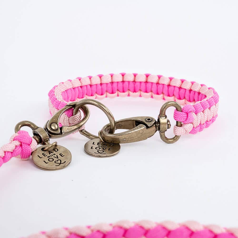 The Kiddies Collar