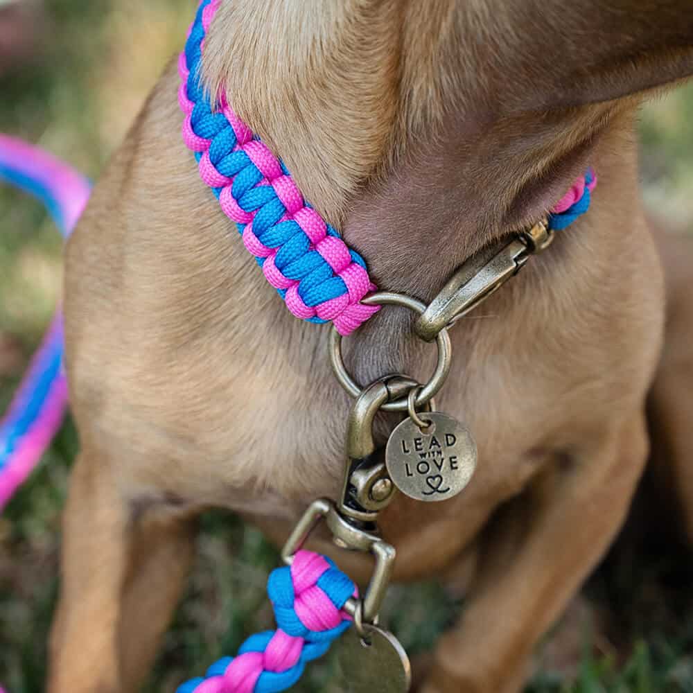 The Kiddies Collar