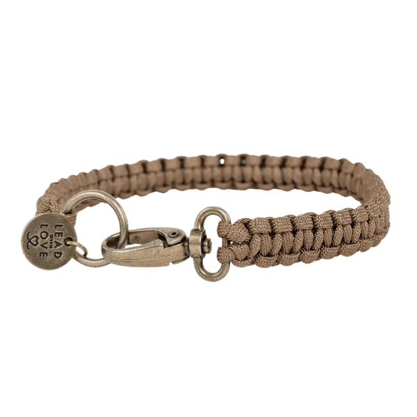 The Classic Collar