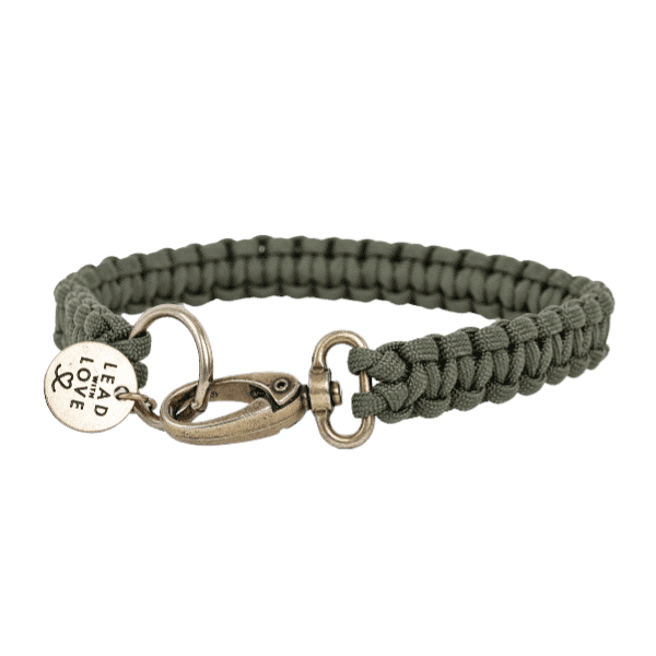 The Classic Collar