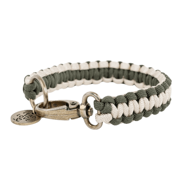 The Classic Collar