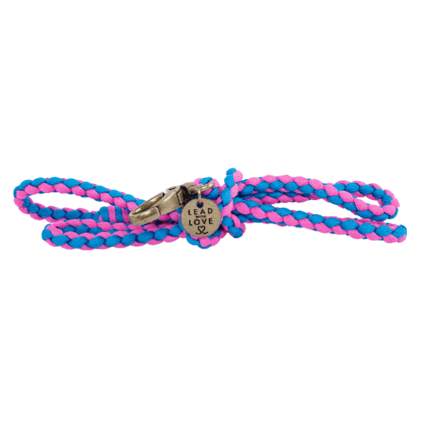 The Kiddies Mini Lead