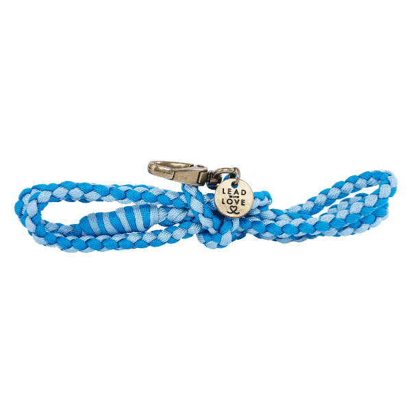 The Kiddies Mini Lead