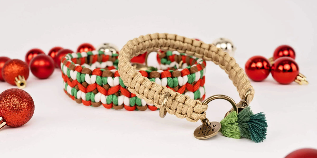 Dogmas Collection