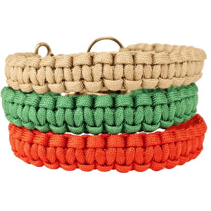 The Dogmas Classic Collar