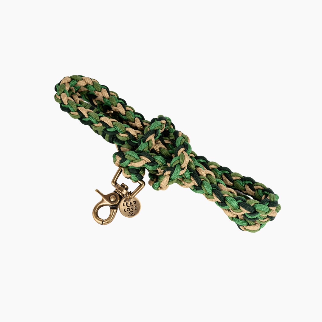 The Dogmas Classic Lead