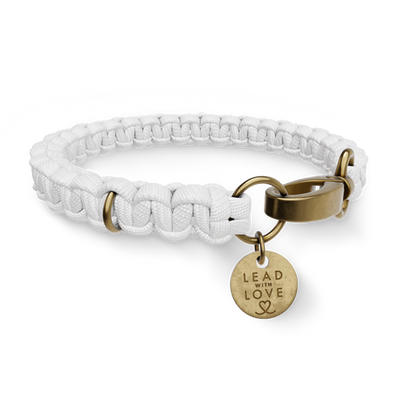 Custom Kiddies Collar