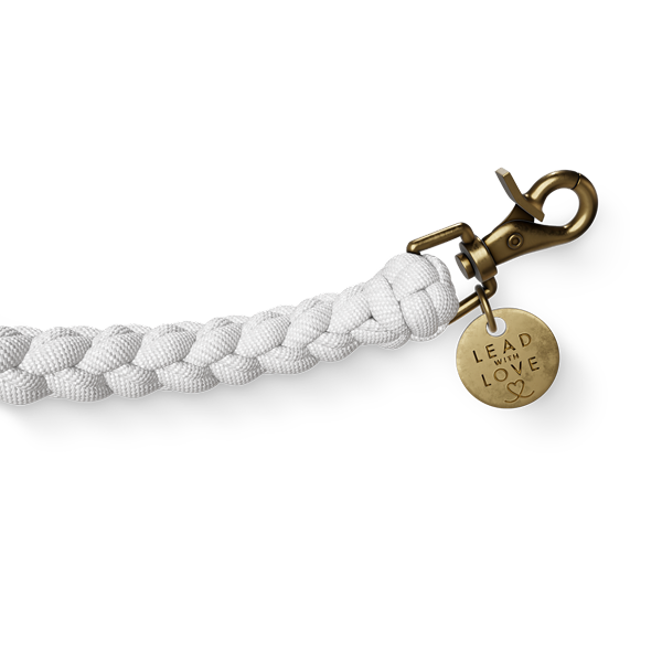 Custom Kiddies Lead