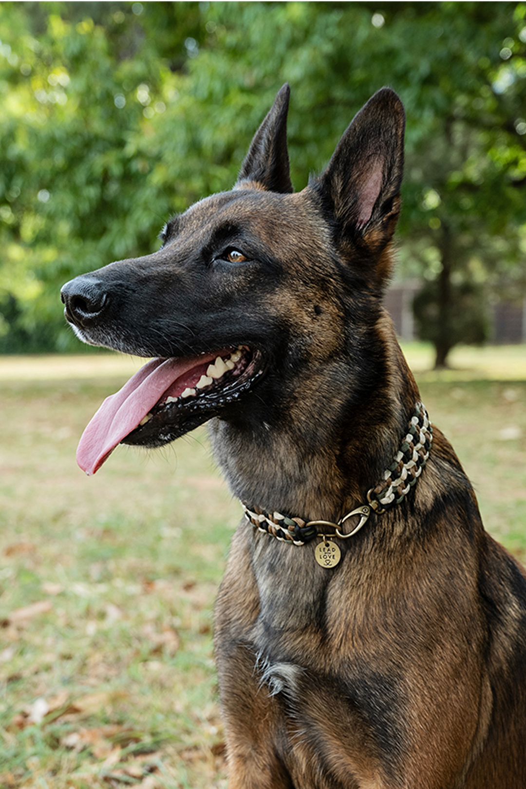 Premium, Handmade Dog Leads and Collars | Lead With Love – LeadWithLove